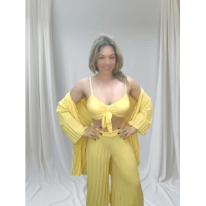 Conjunto Elegância Serena composto por calça plissada, top ajustável e casaco plissado em três cores.